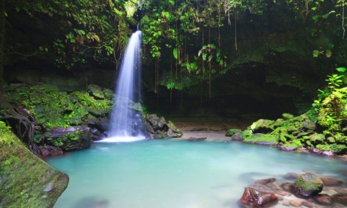 Jungle Bay Dominica